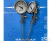  远传<em>温度计</em>WTYY-1031虹德<em>测控</em>供应