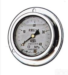  天川仪表厂 厂方直接<em>水处理</em><em>压力表</em>