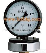  <em>膜片</em><em>压力表</em>(图)