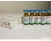 B21842-20mg 7-O-<em>甲基</em><em>白杨</em>素