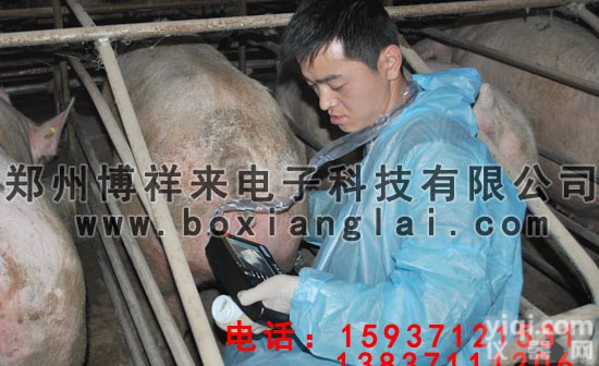 <em>兽用B超</em>BXL-M2  <em>兽用B超</em>/牛用B超 <em>兽用B超</em>信号收集原理-博祥来<em>兽用B超</em>