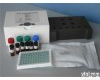  人<em>细胞</em>间<em>粘附</em>分子3(ICAM-3)ELISA<em>试剂盒</em>