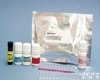 α1-AGP<em>试剂盒</em> 人α1<em>酸性</em>糖<em>蛋白</em> ELISA<em>试剂盒</em>