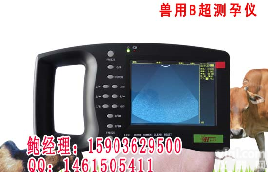 <em>HRQ</em>-<em>5000</em> 兽用B超 <em>动物</em>B超