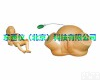 wi79893 厂家直销高级<em>难产</em>示教<em>训练</em><em>模型</em> 