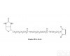 PS2-MBN-2K <em>Biotin</em> <em>PEG</em> <em>Maleimide</em>