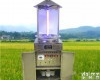 OK-CQ2 欧<em>柯奇</em>远红外自动<em>虫情</em><em>测报</em>灯