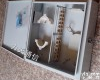 24芯 <em>24芯光纤分配箱</em>/*、24芯分纤箱【壁挂式