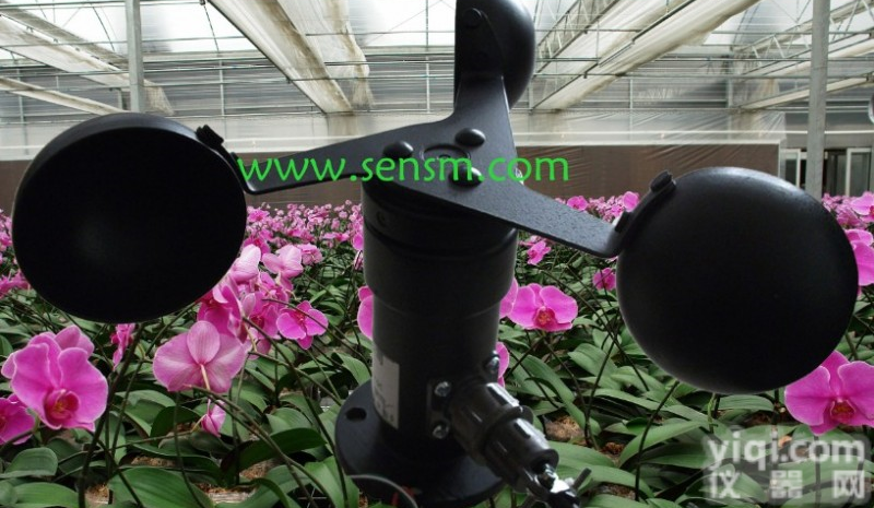  <em>现货风速变送器</em>