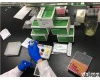 仁捷生物丝氨酸<em>肽酶</em>2甘露聚糖结合凝集素<em>试剂盒</em>安徽<em>省直</em>供