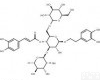 ES-4988S  <em>松果</em>菊 <em>Echinacoside</em>