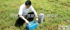 DP-WDZS-3 多功能<em>电法</em><em>找水</em>仪/<em>电法</em><em>找水</em>仪