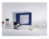 WK22820E 大鼠复合前列腺<em>特异性</em>抗原<em>试剂盒</em>