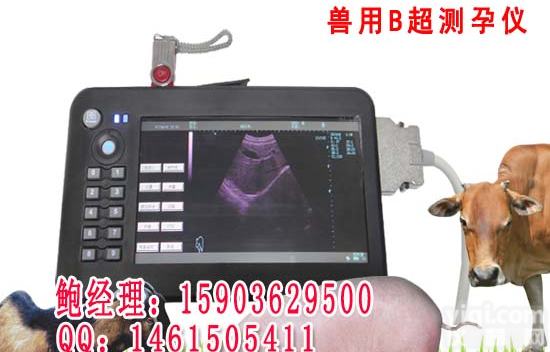 <em>HRQ-7000AV 兽用B超机</em>