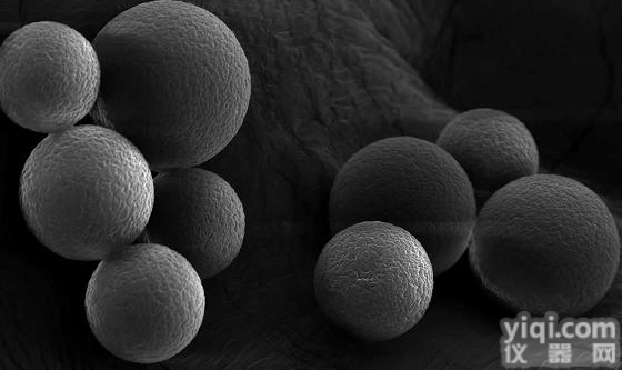 <em>MCI</em> GEL 反相精细分离<em>填料</em>