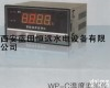 WP-C <em>WP-C温度监测仪</em>