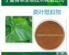 桑叶<em>提取物</em> 桑叶<em>黄酮</em>食品级代OEM代加工