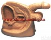 XTY5108306 高级男性<em>导尿</em>外<em>生殖器</em>模型