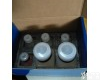 现货干冰HL50080 DNA甲基转移酶-1（DNMT-1）<em>活性酶</em>连续<em>试剂盒</em>