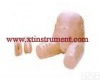 XTY5108316 高级<em>下半身</em>护理<em>模型</em>(男-女生殖器互换)