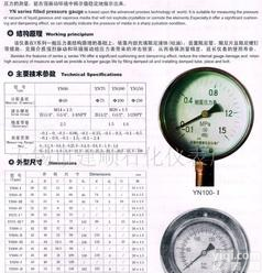  压力表,<em> YN-系列耐震压力表</em>