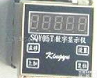 SQY05T105 <em>专业生产</em>数字显示仪和<em>频率</em>电流转换器（品Pai：Kingyu）