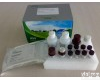 北京现货“人抵抗素(<em>Resistin</em>)ELISA KIT ”价格,高品质“human <em>Resistin</em> ELISA KIT  ”价格 