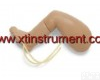 XTY5109322 婴儿<em>注射</em>腿<em>模型</em>