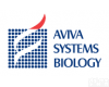aviva systems biology aviva systems biology抗体抗体 