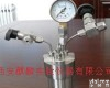 KH-<em>100</em>ml 水热<em>合成反应</em>釜