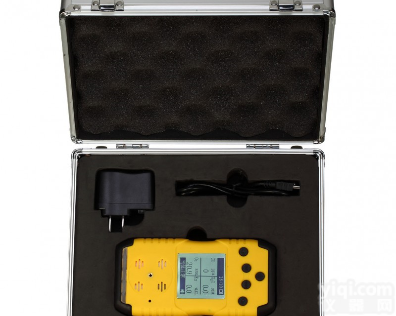 TD-1200H-C4H8O<em> 便携式乙酸乙酯检测仪</em>