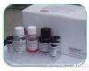 牛<em>肾上腺</em>素<em>说明书</em>（EPI)elisa<em>试剂盒</em>