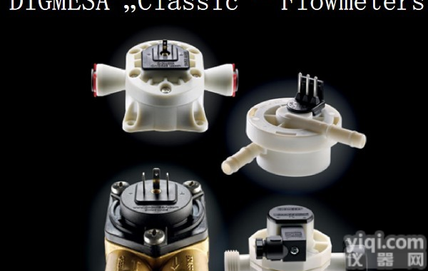 <em>938</em>-1540/21 <em>938</em>-1540/21迪格曼沙流量计