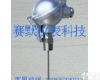 <em>特种热电偶</em> <em>特种热电偶</em>