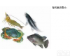 wi119365 <em>呋喃唑酮</em><em>试剂盒</em>