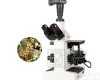 TX-400 <em>倒置显微镜</em>