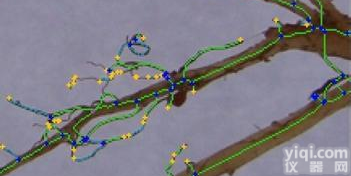 DP-XYA 根系分析系统/<em>根系分析仪</em>