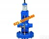 brv2s <em>英国</em>斯派莎克brv2s直接<em>作用</em>式<em>减压阀</em>
