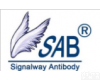 SAB SAB<em>抗体</em> | SAB<em>代理</em>|上海现货