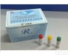 48T/96T盒 马β<em>内啡肽</em>检测<em>试剂盒</em>