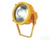 <em>海洋</em>王BTC8200防爆<em>投光灯</em>  <em>海洋</em>王BTC8200防爆<em>投光灯</em>