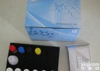 高品质大鼠<em>甘油三酯</em>（TG）ELISA试剂盒<em>价格</em>