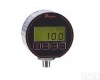      型号:LP-<em>DPG</em>-100 <em>高精度</em>数字<em>压力计</em>/数字压力仪