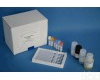 <em>猴子</em>孕<em>激素</em>/孕酮(PROG)ELISA<em>试剂盒</em>