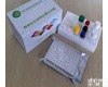 48T/96T盒 <em>小鼠</em>5<em>羟色胺</em>检测<em>试剂盒</em>