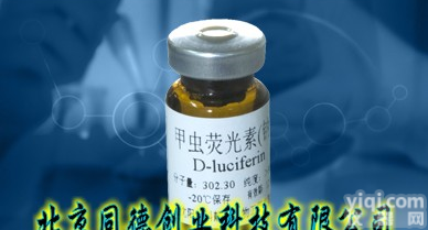 EC1.<em>13</em>.<em>12</em>.7 萤火虫荧光素酶