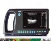 VD-3000V  <em>动物</em>B超/<em>掌上型</em><em>兽用</em>B超