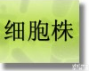  <em>变异</em><em>链球菌</em>