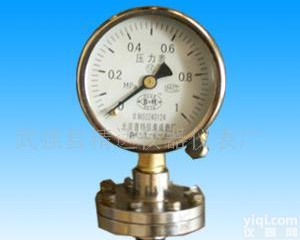  隔膜<em>压力表</em>YMF/YMG/<em>YMN</em>/YML/YGL