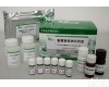 WK21732E 小鼠D-乳酸<em>脱氢</em>酶<em>试剂盒</em>